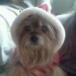 Meet your Posher, Deb